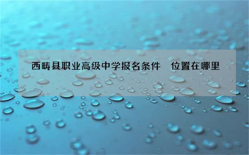 西畴县职业高级中学报名条件 位置在哪里